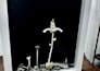 create a unique sculpture made of real bones